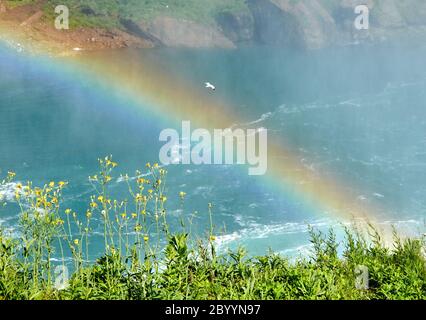 Splendido arcobaleno sulle cascate del Niagara in estate in una giornata di sole. Cascate del Niagara, Ontario, Canada Foto Stock