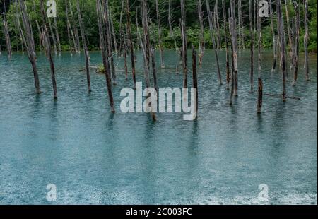 Shirogane stagno blu a Biel, Hokkaido, Giappone Foto Stock