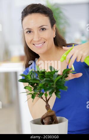 Donna felice spruzza acqua su albero di bonsai Foto Stock