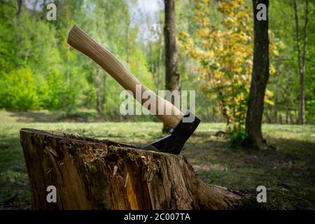 Chopper o ascia in piedi in verticale in un vecchio ceppo di albero all'aperto contro uno sfondo di bosco in primavera Foto Stock