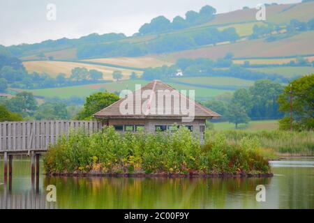 Isola Nascondi in Black Hole Marsh, parte della Seaton Wetlands Nature Reserve, Devon Foto Stock