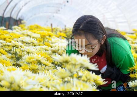 Ragazza nel giardino dei fiori Foto Stock