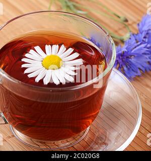 Tisane in tazza con camomilla Foto Stock