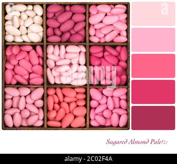 Mandorle zuccherate rosa in una tavolozza di colori con campioni di colore omaggio. Foto Stock