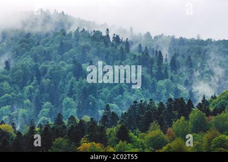 Splendida vista panoramica di 8k della foresta e delle montagne Carpazi in primavera. Bieszczady, Polonia. Foto Stock