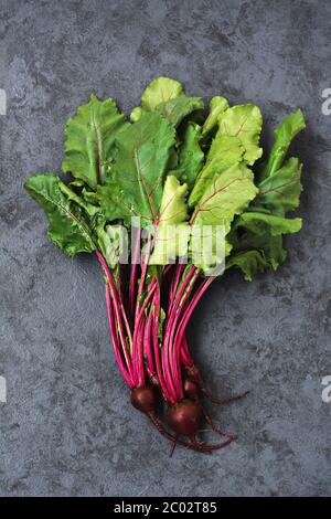 Gruppo di bietole con barbabietole. Barbabietola giovane con foglie fresche su sfondo scuro Foto Stock