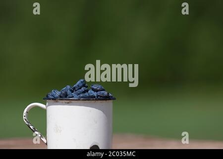 Mirtillo biologico maturo in tazza metallica. Raccolta di frutti di bosco freschi di frutti di miele da fattoria di frutti di bosco con copyspace Foto Stock