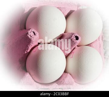 Quattro le uova bianche rosa in scatola di cartone Foto Stock
