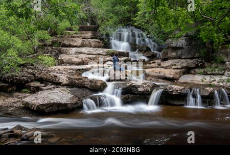 Donna sulle rocce che guarda la forza di Lower East Gill dove si unisce al fiume Swale vicino a Keld, Yorkshire Dales National Park, UK. Foto Stock