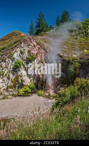 Fumarole al Cratere di fango, Craters of the Moon Thermal Area, Waikato Region, North Island, Nuova Zelanda Foto Stock