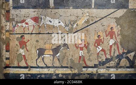 Antichi dipinti murali egiziani della Tomba di Iti e Neferu, scena rituale della macellazione, Tebe, primo periodo intermedio (2118 – 1980AC). Egypti Foto Stock