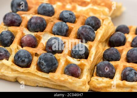 Waffle al mirtillo. Primo piano di un supercibo vegetariano. Dessert di frutta dolce sana con mirtilli biologici in un piatto frittella waffle. Cibo astratto p Foto Stock