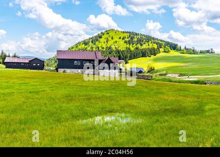 Bukovec montagna sopra Jizerka villaggio. Paesaggio estivo con prati verdi, cielo blu e nuvole bianche. Montagne di Jizera, Repubblica Ceca. Foto Stock