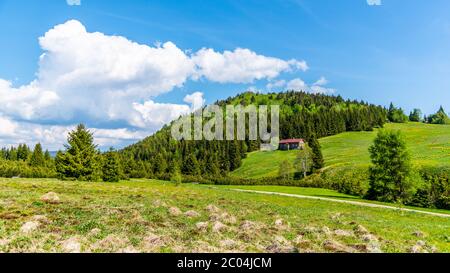 Collina Bukovec sopra il villaggio di Jizerka in estate soleggiato giorno, Monti Jizera, Repubblica Ceca. Foto Stock