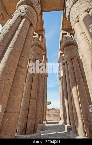 Sculture geroglipiche su colonne presso l'antico tempio egiziano Luxor Foto Stock