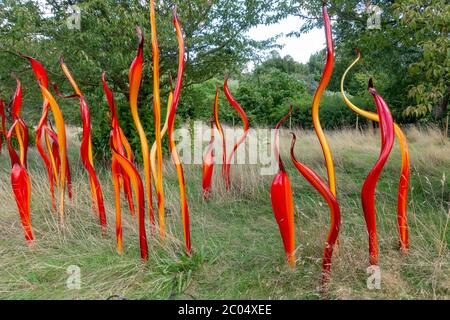 'Cattails and Copper Birch Reeds', una scultura in vetro di Dale Chihuly, Royal Botanic Gardens, Kew, Richmond upon Thames, Inghilterra, Regno Unito. Foto Stock