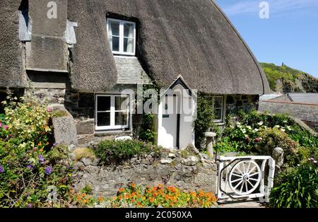 Un cottage con tetto di paglia nel villaggio di Cadgwith, Cornovaglia, Regno Unito - John Gollop Foto Stock