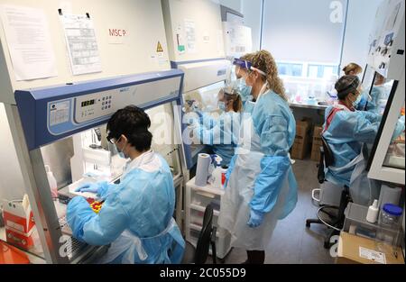 Scienziati che lavorano al Lighthouse Laboratory presso il Queen Elizabeth University Hospital di Glasgow, che riceve e analizza i tamponi di coronavirus con sospetta infezione da COVID-19 nella continua lotta contro il coronavirus. La Scozia continua nella prima fase del piano del governo scozzese di abolimento graduale della chiusura. Foto Stock