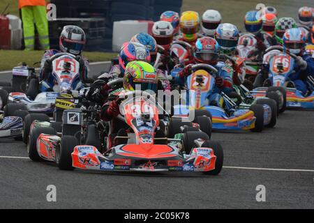 Carriera di Lando Norris nel karting 2013. Foto Stock