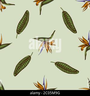 Motivo senza cuciture con strelitzia colorata disegnata a mano Illustrazione Vettoriale