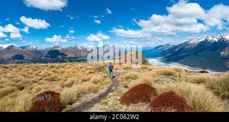 Vista panoramica, escursionista sulla cima del Monte Alfred, vista del Lago Wakatipu e paesaggio montano, Glenorchy vicino a Queenstown, Alpi meridionali, Otago Foto Stock