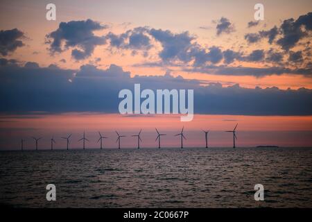 Vista dalla spiaggia di Amager alle turbine eoliche in mare all'alba, all'azienda eolica offshore, Copenhagen, Danimarca Foto Stock