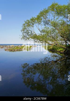 Parco Nazionale di Stenshuvud in Svezia Foto Stock