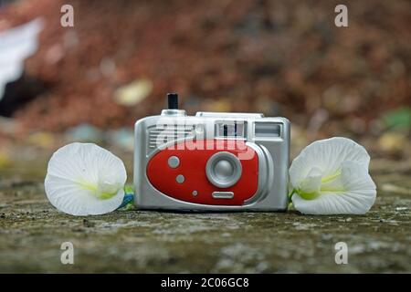 Piccola macchina fotografica giocattolo con fiori bianchi Foto Stock