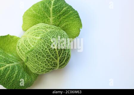 Concetto vegetale. Freschi cavoli verdeggianti sabaudi isolati su sfondo bianco. Vista dall'alto, spazio di copia. Foto Stock