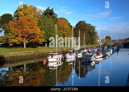 Barche ormeggiate lungo il fiume Dart a Old Steamer Quay in autunno, Totnes, Devon, Inghilterra, Regno Unito Foto Stock