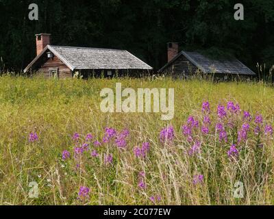 capanna di legno in svezia Foto Stock