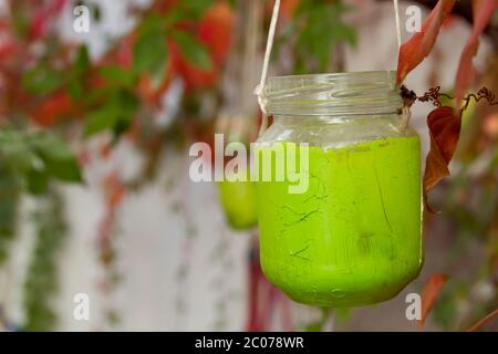 Vaso di vetro verde riciclato come lampada da giardino decorativa Foto Stock