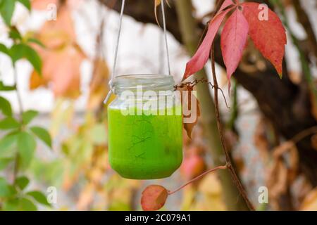 Vaso di vetro verde riciclato come lampada da giardino decorativa Foto Stock