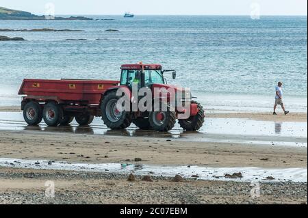 Garretstown, West Cork, Irlanda. 11 Giugno 2020. Nonostante i venti di forza di Gale, sia i locali che i turisti sono andati alla spiaggia di Garretstown oggi. Il consiglio della contea era impegnato a pulire la spiaggia delle alghe. Credit: Notizie dal vivo di AG/Alamy Foto Stock
