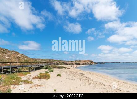 Spiaggia a Penguin Island, Rockingham, Australia Occidentale, Australia Foto Stock