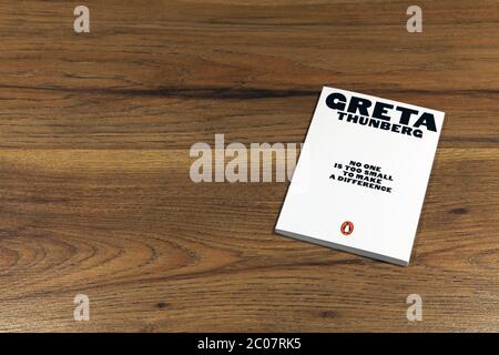 Libro di Greta Thunberg, nessuno è troppo piccolo per fare un libro di libro cartaceo di differenza Foto Stock