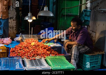 Chennai, Tamil Nadu, India - 2018 agosto: Ritratto di un venditore indiano di fiori che vende animali rossi di rose nel suo negozio al mercato dei fiori di Georgetown. Foto Stock