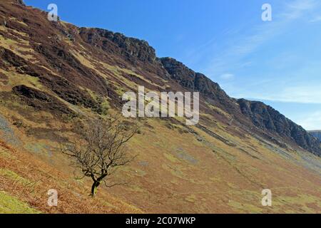 Scenario intorno a Blien Pennant, Wenallt Tap vicino a Llanymawddwy Foto Stock