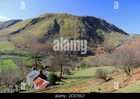 Terreno agricolo e casa intorno a Blaen Pennant, Ogof DDU, vicino a Llanymawddwy Foto Stock