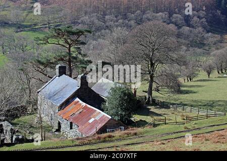 Terreno agricolo e casa intorno a Blaen Pennant, Wenallt Tap, vicino a Llanymawddwy Foto Stock