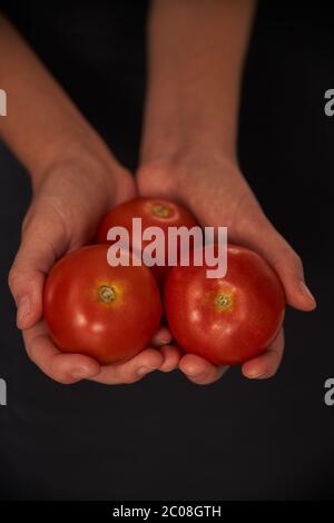 Mani femminili che tengono i pomodori su sfondo scuro. Foto Stock