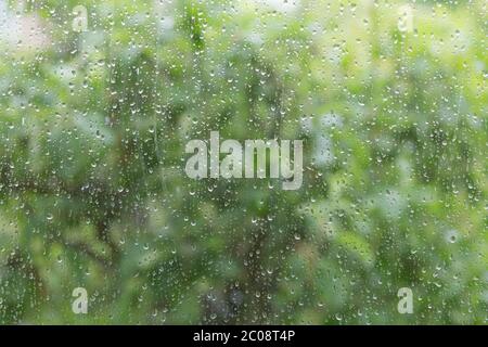 Gocce di pioggia su un pannello di finestra dall'interno di una casa. Foto Stock