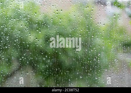 Gocce di pioggia su un pannello di finestra dall'interno di una casa. Foto Stock