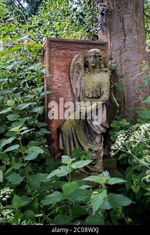 Memorial con angelo in un cimitero di Dalry, Edimburgo, Scozia, Regno Unito, sopravorto e trascurato. Foto Stock