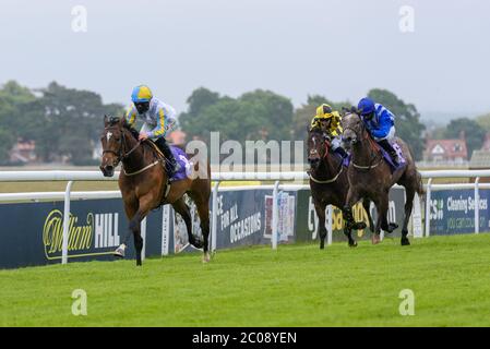 Annangel guidato da Rowan Scott vince l'ippodromo Beverley applaude gli indispensabili lavoratori novizi Stakes presso l'ippodromo di Beverley. Foto Stock