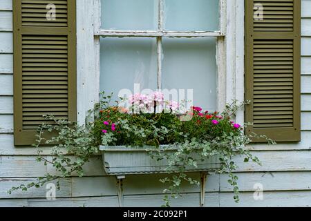 Una finestra di fiori piena di fiori colorati sulla Warwick, ma Historical Society Foto Stock