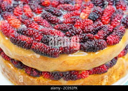 Torta al limone con more fresche Foto Stock