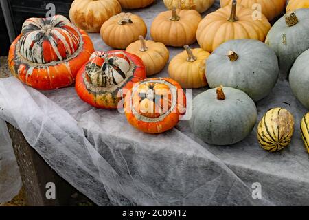 Diverse varietà di zucche in esposizione su un tavolo coperto di stoffa Foto Stock