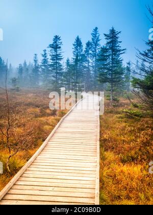 Percorso in legno nella torba Bozi Dar, Repubblica Ceca. Paesaggio autunno colorato scena Foto Stock