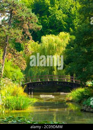 Ponte di legno sul lago in giardino in stile japanese Foto Stock